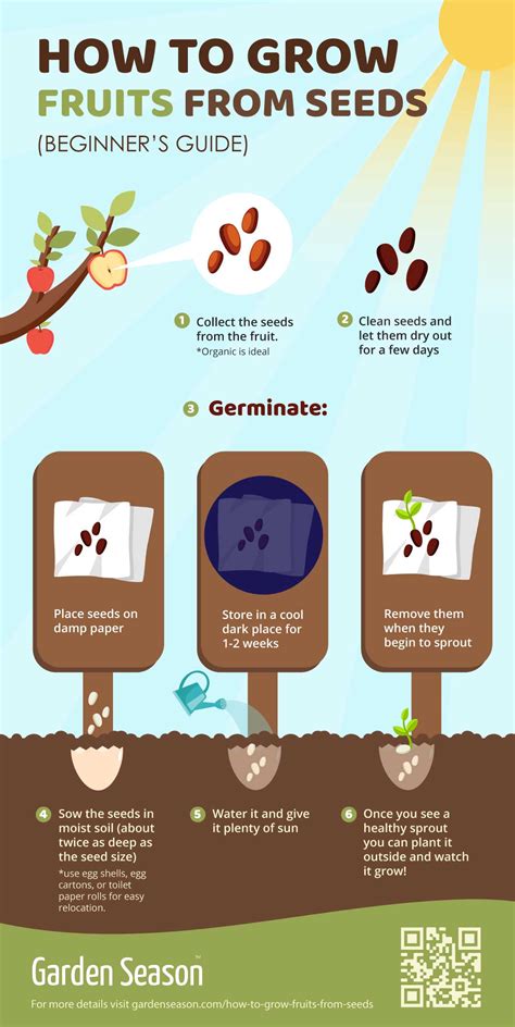 How To Grow 17 Fruits From Seeds [INFOGRAPHIC] - Garden …