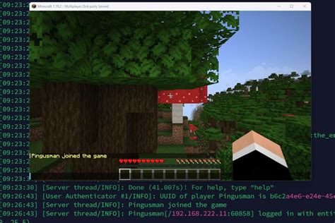 How To Host And Configure A Minecraft Server With No Ip