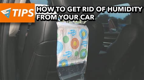 How To Humidify Your Car? Update New - Linksofstrathaven.com