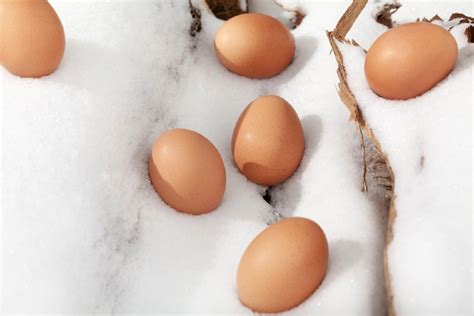 How To Keep Chickens Laying Eggs During Winter (5 …