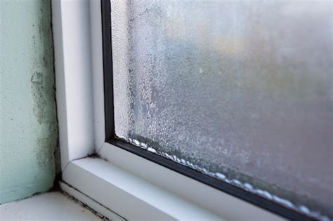 How To Kill Mold On Window Sills - Moldings Plus