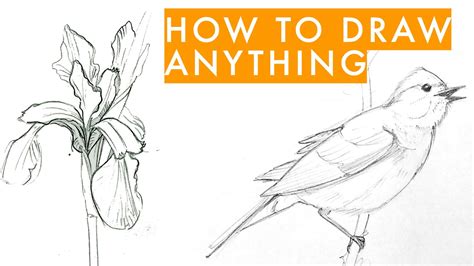 How To Learn How To Draw