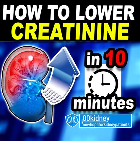 How To Lower Creatinine Level Quickly Strategies To Support Healthy