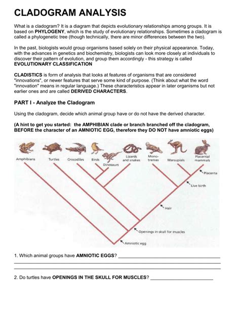 How To Make A Cladogram Worksheet Answer Key Ebooks Www