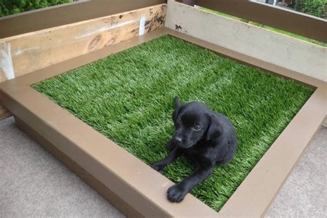 How To Make A Puppy Litter Box