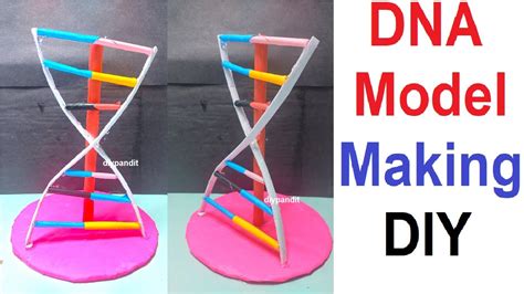How To Make A Simple Dna Model For Kids