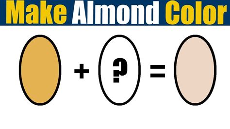 How To Make Almond Color What Color Mixing To Make Almond YouTube