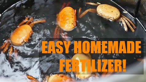 How To Make Fish Fertilizer The Survival Gardener