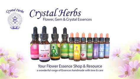 How To Make Flower Essences - Crystal Herbs