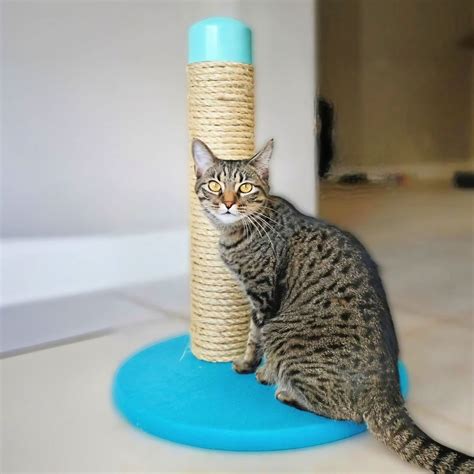 How To Make Your Own Cat Scratch Post