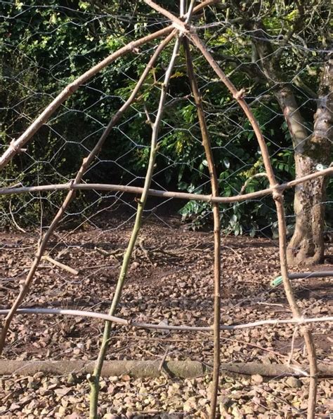How To Make a Rustic Trellis Out of Branches - Rural Sprout