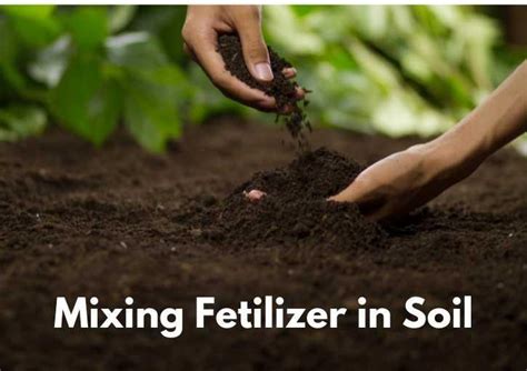 How To Mix Fertilizer With Soil (9 Steps) – thegrowingleaf