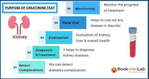 How To Pass A Drug Test Creatinine Levels
