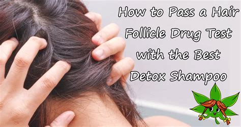 How To Pass A Hair Drug Test Shampoo