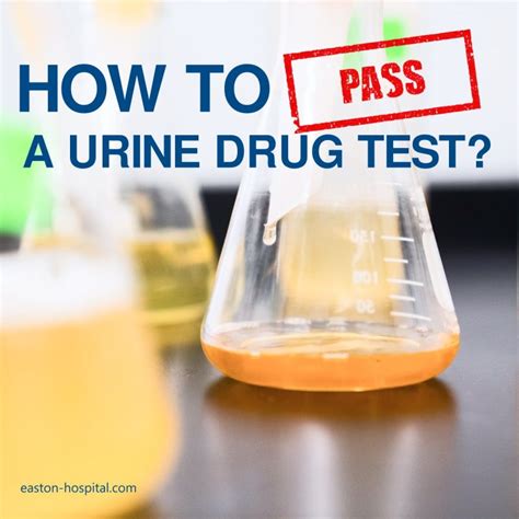 How To Pass A Urine Drug Test Asap