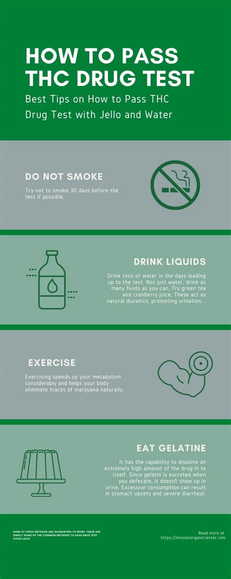 How To Pass A Urine Drug Test Drug Testing