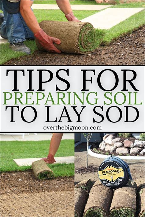 How To Prepare Soil Before Laying Sod - Dirt Connections