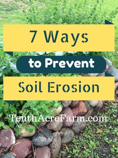 How To Prevent Soil Erosion In Your Garden (7 Ways To Stop It)