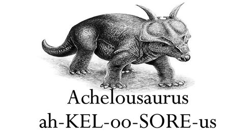 How To Pronounce Achelousaurus: Achelousaurus pronunciation