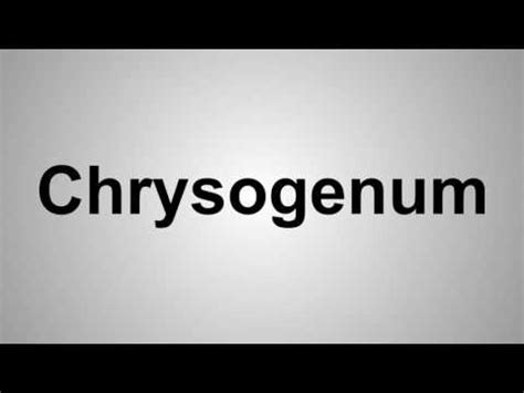 How To Pronounce Chrysogenum - YouTube