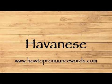 How To Pronounce Havanese - YouTube