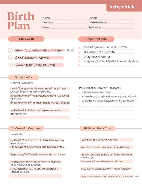 How To Quickly And Easily Create A Birth Plan With A Template in 2021