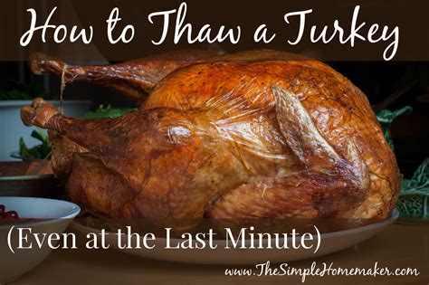 How To Quickly Thaw A Turkey - Cooking Tom