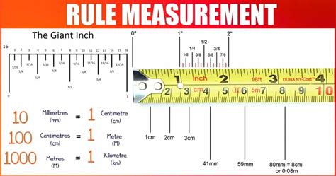 How To Read A Ruler In Cm How To Read A Ruler In Inches And