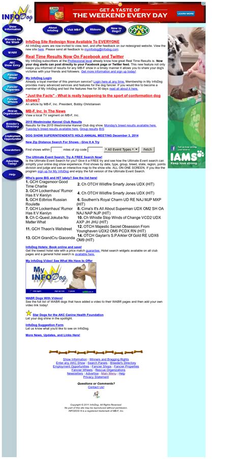 How To Read Infodog Results Page