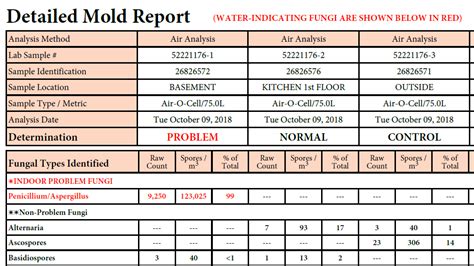 How To Read Mold Test Results RESUTLOP