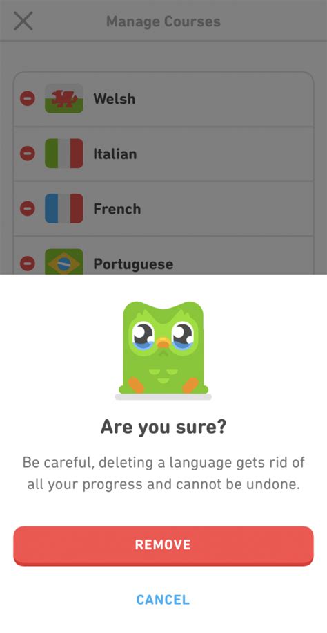 How To Remove A Language Course On Duolingo duoplanet