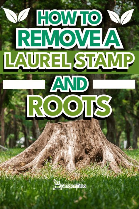 How To Remove A Laurel Stump And Roots - GardenTabs.com