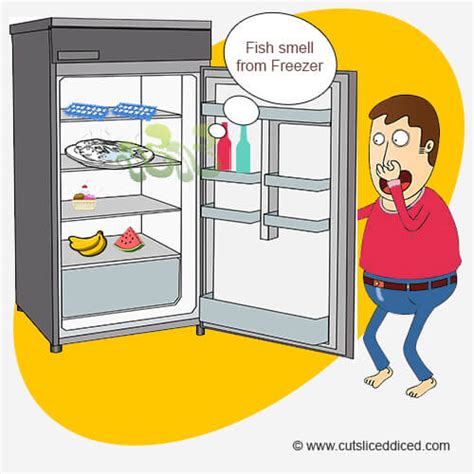 How To Remove Fish Smell From Freezer Magically? 2024 Guide