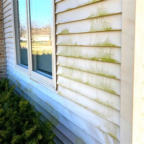 How To Remove Green Algae From Vinyl Siding - Innovative …