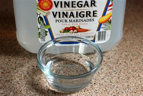 How To Remove Stains With Vinegar - Laundryheap …