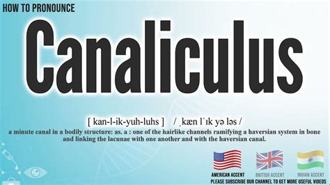 How To Say Canaliculus - YouTube