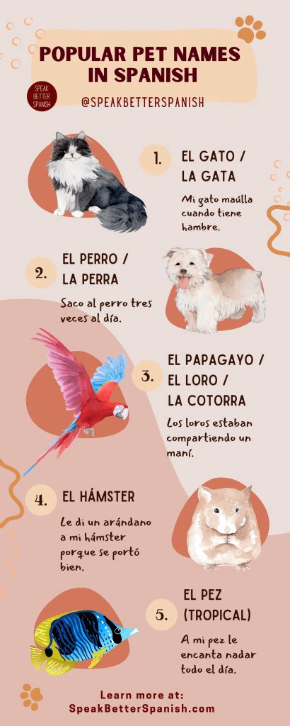 How To Say Pets In Spanish? Animal Vocabulary In Spanish