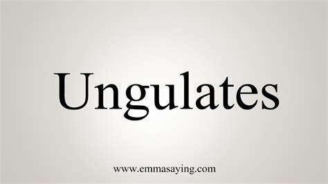 How To Say Ungulate - YouTube