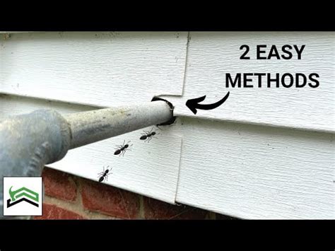 How To Seal Gaps And Holes In Siding Keep Bugs and Cold Out!