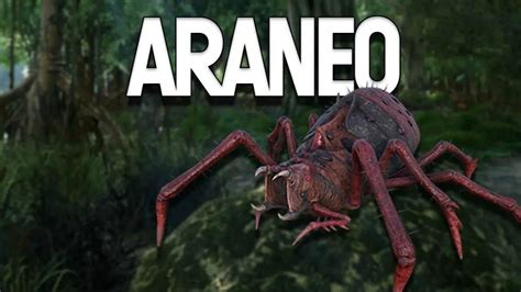 How To Solo Tame A Araneo Aka Spider In Ark Survival Evolved