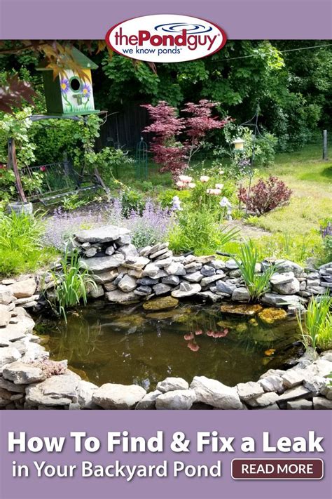 How To Stop A Pond From Leaking (Expert Tips) Hepper