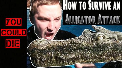 How To Survive An Alligator Attack - YouTube