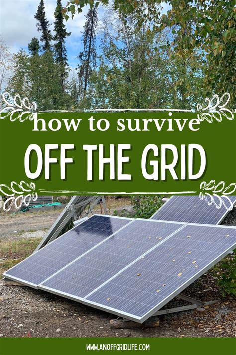 How To Survive Off The Grid