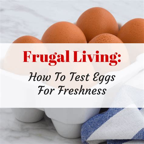 How To Test Eggs For Freshness Savvy in Somerset Testing Eggs For