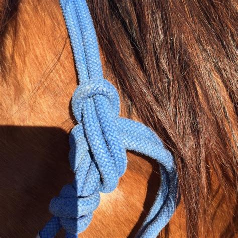 How To Tie A Rope Halter - Horse Gazette