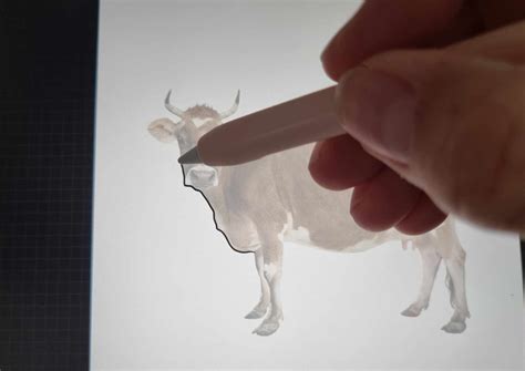 How To Trace On Procreate in 11 Easy Steps Artsydee Drawing