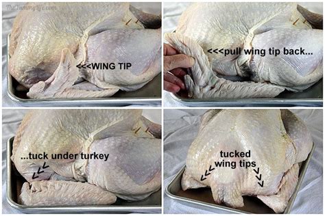 How To Tuck Wings Under A Turkey - Answer Foundry