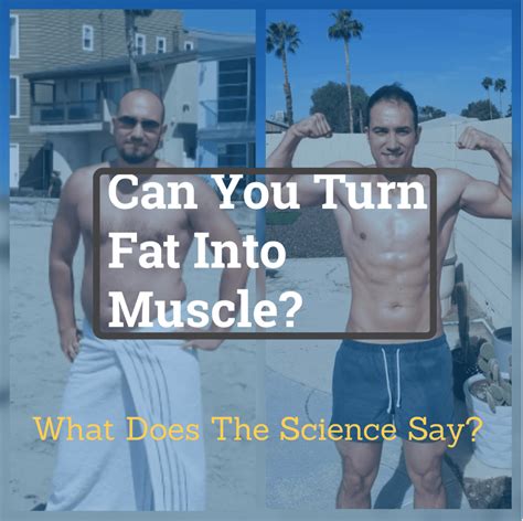 How To Turn Stomach Fat Into Muscle - StomachGuide.net