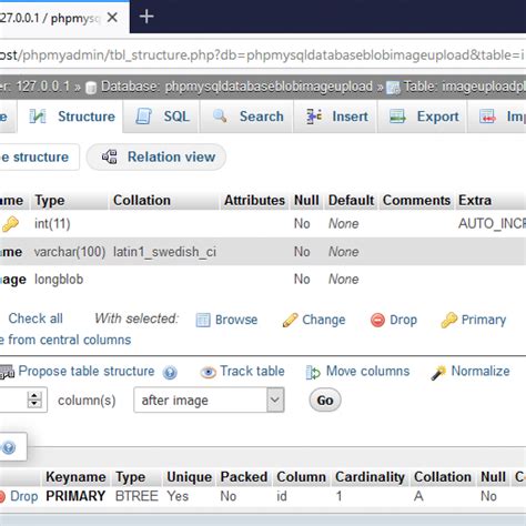 How To Upload BLOB (Binary Large OBject) Image To Mysql Database Using PHP (Upload)