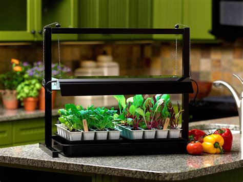 How To Use A Grow Light For Herbs